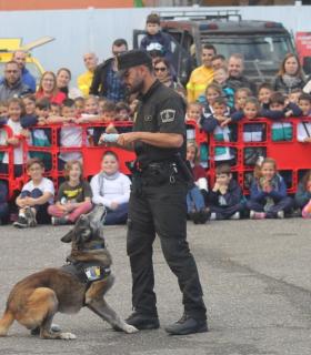 Cerca de 500 escolares del municipio conocen la labor de los cuerpos de seguridad y emergencias · foto 4
