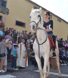 La devoción y tradición ganadera en Los Silos por San Antonio Abad cumplió 269 años · foto 6