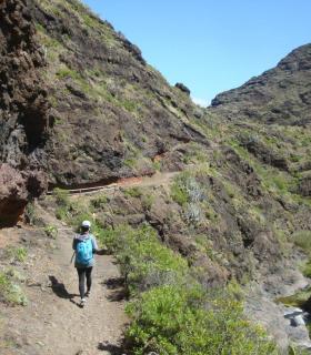 El Cabildo de Tenerife invertirá dos millones de euros en mejoras y conservación del Parque Rural de Anaga · foto 2