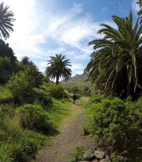 El Cabildo de Tenerife invertirá dos millones de euros en mejoras y conservación del Parque Rural de Anaga · foto 3