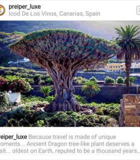 Un intermediador turístico de viajes de lujo promociona Icod de los Vinos como destino diferenciado en la Isla · foto 1