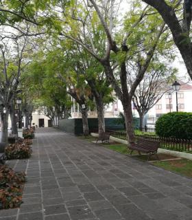 El Ayuntamiento de La Orotava saca a concurso la cafetería del Kiosco de la Plaza la Constitución · foto 2