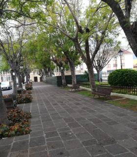 El Ayuntamiento de La Orotava saca a concurso la cafetería del Kiosco de la Plaza la Constitución · foto 3