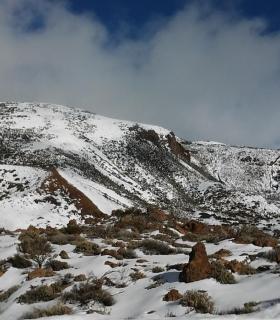 Una gran nevada en las cumbres de Tenerife · foto 5