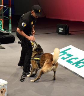 Hackron convierte a Santa Cruz de Tenerife en una ciudad de referencia en ciberseguridad · foto 2
