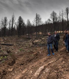 Fernando Clavijo comprueba los avances en la recuperación de las áreas afectadas por el incendio de Gran Canaria · foto 1