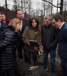 Fernando Clavijo comprueba los avances en la recuperación de las áreas afectadas por el incendio de Gran Canaria · foto 2