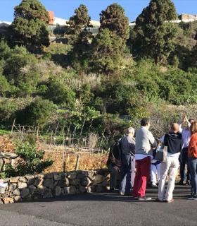 La Gran Orden de los Caballeros del Vino visita Tenerife para conocer los Canary Wine · foto 1