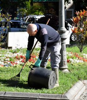 El Ayuntamiento de Santa Cruz de Tenerife trabaja en la reposición de jardines tras la celebración del Carnaval · foto 4