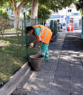 El Ayuntamiento de Santa Cruz de Tenerife trabaja en la reposición de jardines tras la celebración del Carnaval · foto 1