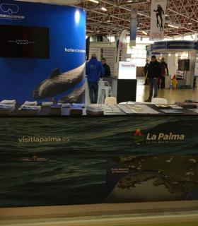 La Palma afronta días de gran actividad promocional turística con su presencia en cuatro ferias del sector · foto 1