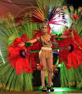 Gala de Elección Reina de la Piñata Chica de Tacoronte. Carnaval 2018 · foto 47