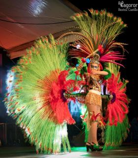 Gala de Elección Reina de la Piñata Chica de Tacoronte. Carnaval 2018 · foto 48