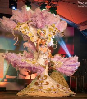 Gala de Elección Reina de la Piñata Chica de Tacoronte. Carnaval 2018 · foto 54