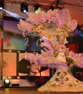 Gala de Elección Reina de la Piñata Chica de Tacoronte. Carnaval 2018 · foto 52