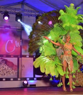 Gala de Elección Reina de la Piñata Chica de Tacoronte. Carnaval 2018 · foto 28