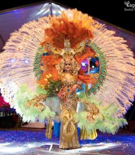 Gala de Elección Reina de la Piñata Chica de Tacoronte. Carnaval 2018 · foto 116