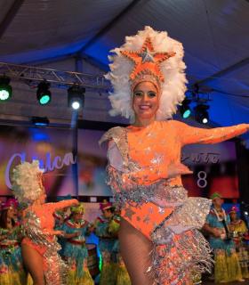 Gala de Elección Reina de la Piñata Chica de Tacoronte. Carnaval 2018 · foto 88