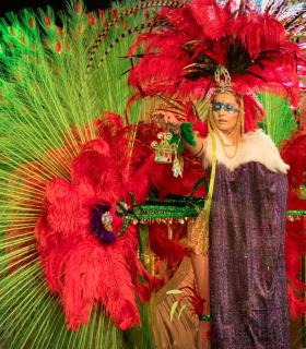 Gala de Elección Reina de la Piñata Chica de Tacoronte. Carnaval 2018 · foto 45