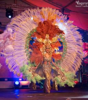 Gala de Elección Reina de la Piñata Chica de Tacoronte. Carnaval 2018 · foto 107