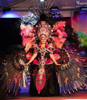 Gala de Elección Reina de la Piñata Chica de Tacoronte. Carnaval 2018 · foto 30