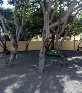 Los Llanos de Aridane inaugura el primer parque para perros de La Palma · foto 2