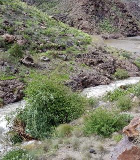 Tomás Pérez: Esta lluvia es una inyección de optimismo para La Aldea · foto 1
