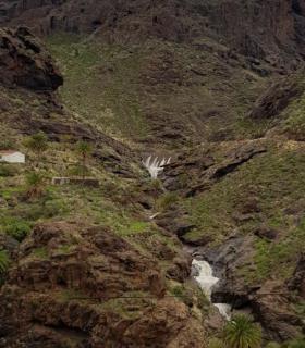 Tomás Pérez: Esta lluvia es una inyección de optimismo para La Aldea · foto 4