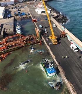 Las barreras de contención colocadas permiten confinar todo el aceite en el interior del Puerto de Gran Tarajal · foto 2