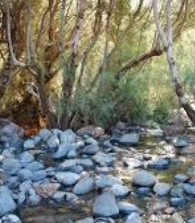 Nuevo impulso a la practica de la orientación en La Aldea · foto 1