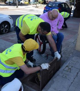 Santa Cruz de Tenerife: La campaña de desratización mejora en su plazo de respuesta al contar con más medios · foto 2