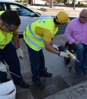 Santa Cruz de Tenerife: La campaña de desratización mejora en su plazo de respuesta al contar con más medios · foto 1