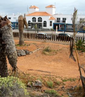 El PSOE reclama al Ayuntamiento de La Oliva recuperar el abandonado Parque Botánico de Corralejo · foto 1