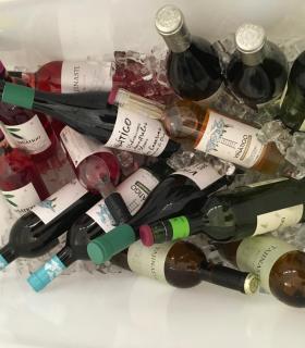 Canary Wine da el salto a Estados Unidos y Canadá · foto 1