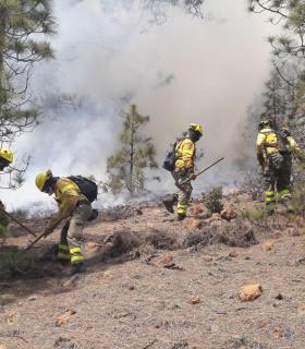 El Cabildo continúa trabajando para controlar el incendio forestal de Granadilla · foto 2