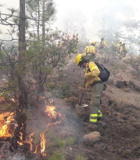 El Cabildo continúa trabajando para controlar el incendio forestal de Granadilla · foto 1