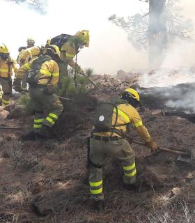 El Cabildo de Tenerife da por controlado el incendio forestal de Granadilla, que ha afectado a unas 380 hectáreas · foto 2