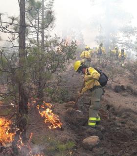 El Cabildo de Tenerife da por controlado el incendio forestal de Granadilla, que ha afectado a unas 380 hectáreas · foto 1