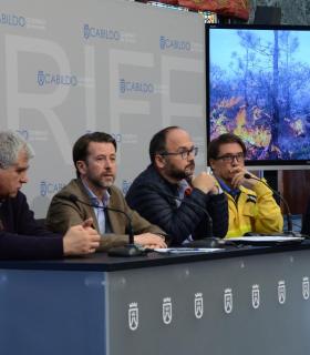 El Cabildo de Tenerife da por controlado el incendio forestal de Granadilla, que ha afectado a unas 380 hectáreas · foto 3