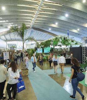 La Feria Internacional de la Moda de Tenerife se afianza como generadora de actividad económica en el sector · foto 3