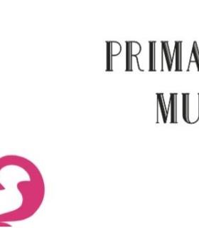 La Primavera Musical llega este fin de semana a los municipios de San Sebastián y Agulo · foto 1