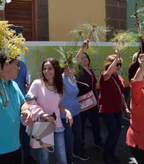 Gáldar exhibe todo el potencial de su tejido asociativo y social en el Encuentro Juntos Avanzamos · foto 5