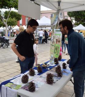 Gáldar exhibe todo el potencial de su tejido asociativo y social en el Encuentro Juntos Avanzamos · foto 16