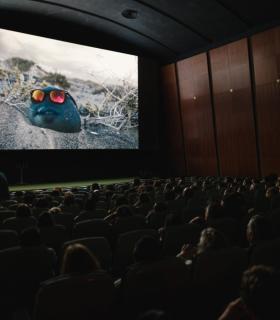 Los Multicines Atlántida acogen hasta el jueves la Sección Oficial del 18º Festival Internacional de Cine de Lanzarote · foto 2