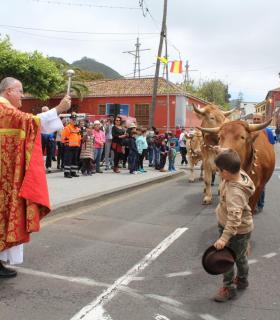 Tegueste celebra San Marcos con su desfile y bendición del ganado · foto 6