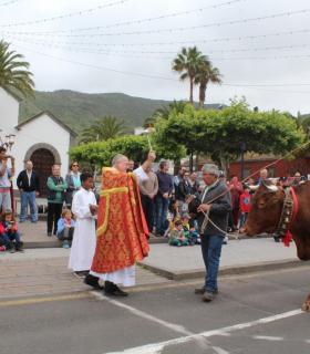 Tegueste celebra San Marcos con su desfile y bendición del ganado · foto 2