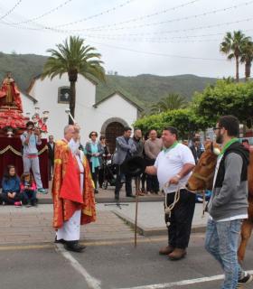 Tegueste celebra San Marcos con su desfile y bendición del ganado · foto 4