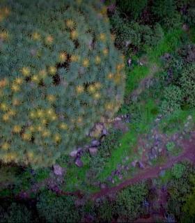 La Villa de Santa Brígida publica un vídeo en el que se muestra como un destino a disfrutar a través de los sentidos · foto 1
