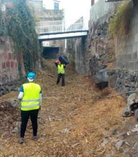 Limpieza de barrancos en Los Silos · foto 5