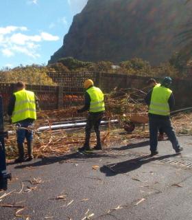 Limpieza de barrancos en Los Silos · foto 2